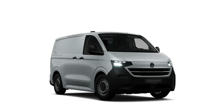 Transporter Kastenwagen