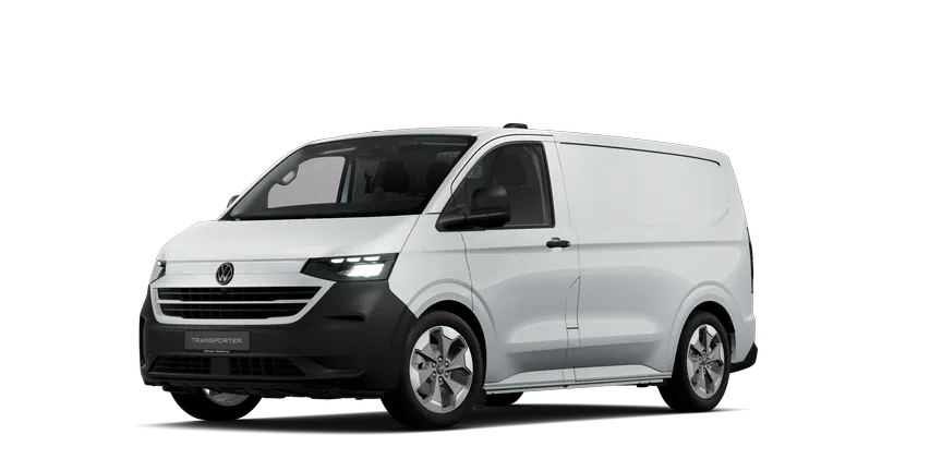 Transporter Kastenwagen